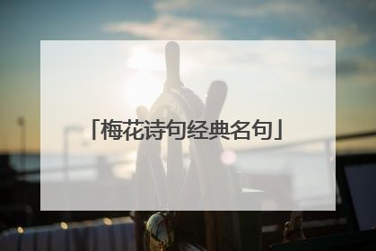 梅花诗句经典名句