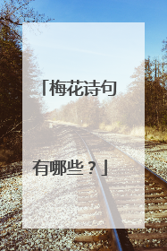 梅花诗句有哪些？