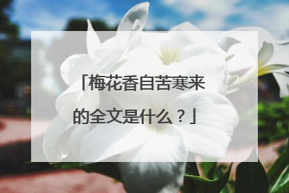 梅花香自苦寒来的全文是什么?