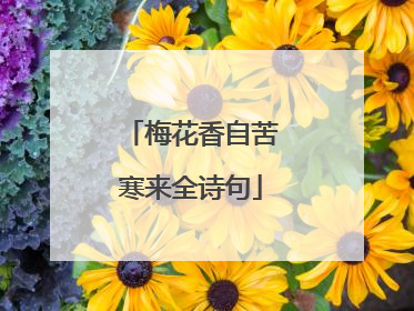 梅花香自苦寒来全诗句