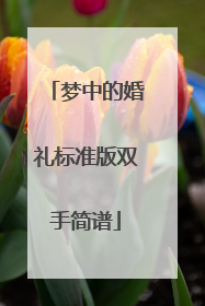 梦中的婚礼标准版双手简谱