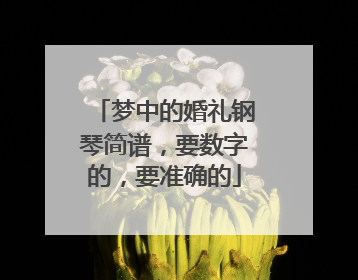 梦中的婚礼钢琴简谱，要数字的，要准确的