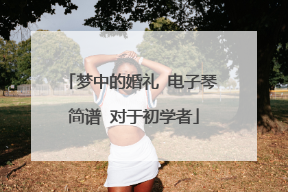 梦中的婚礼 电子琴简谱 对于初学者