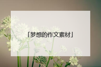 梦想的作文素材
