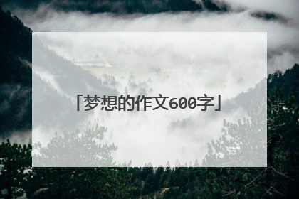 梦想的作文600字