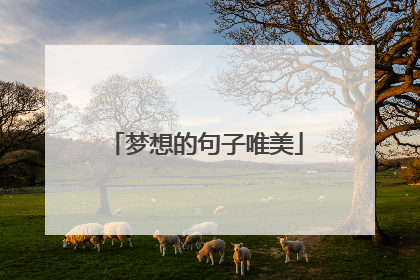 梦想的句子唯美