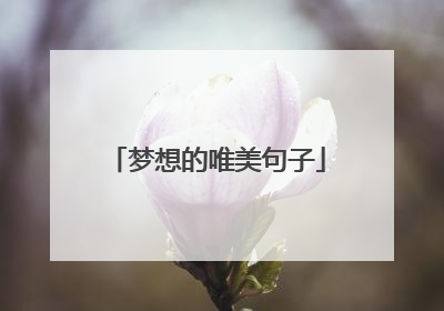 梦想的唯美句子