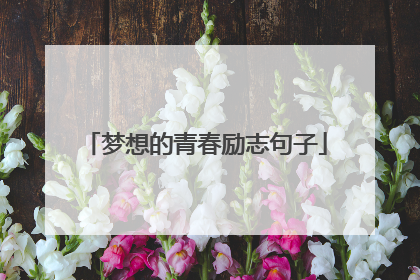 梦想的青春励志句子