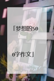 梦想的500字作文
