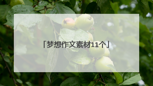 梦想作文素材11个