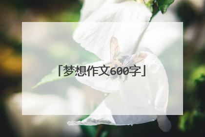 梦想作文600字