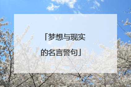 梦想与现实的名言警句