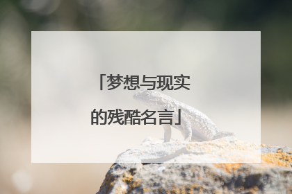 梦想与现实的残酷名言