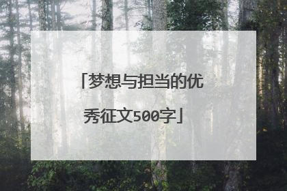 梦想与担当的优秀征文500字