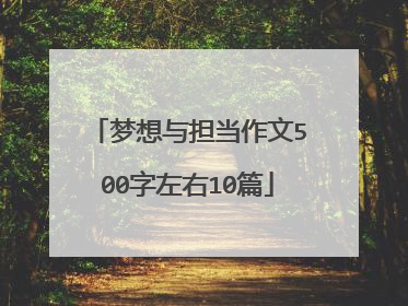 梦想与担当作文500字左右10篇