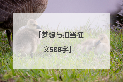 梦想与担当征文500字