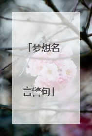 梦想名言警句