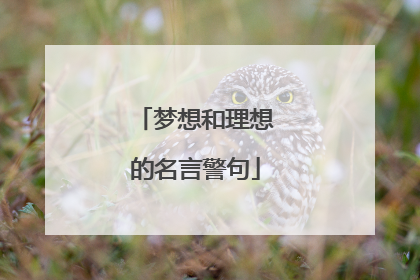 梦想和理想的名言警句