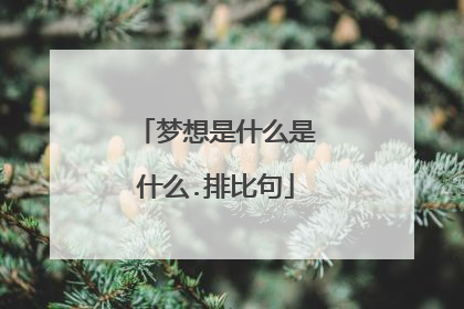 梦想是什么是什么.排比句