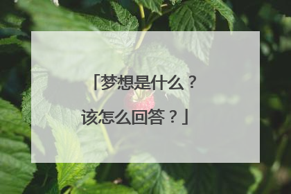 梦想是什么?该怎么回答?