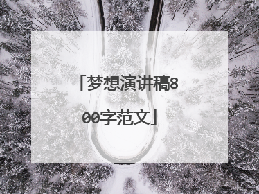 梦想演讲稿800字范文