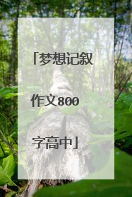 梦想记叙作文800字高中