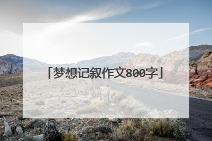 梦想记叙作文800字
