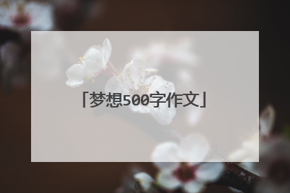 梦想500字作文