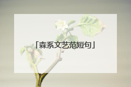森系文艺范短句