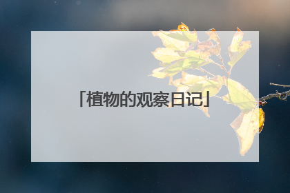 植物的观察日记