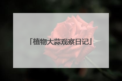 植物大蒜观察日记