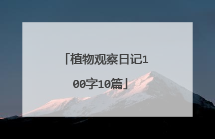 植物观察日记100字10篇