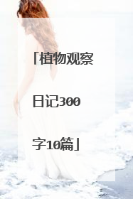 植物观察日记300字10篇
