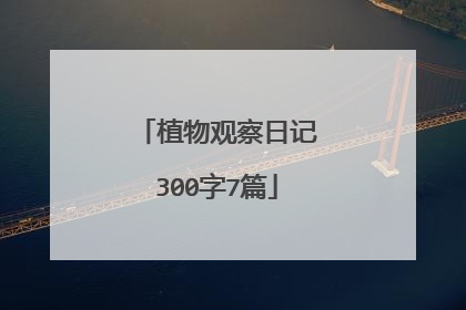 植物观察日记300字7篇