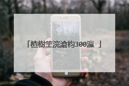 楂樹笁浣滄枃300瀛�