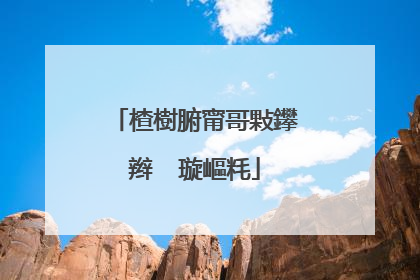 楂樹腑甯哥敤鑻辫��璇嶇粍