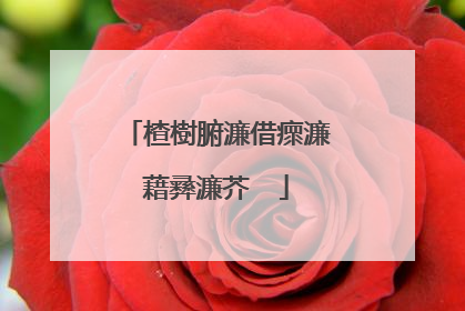 楂樹腑濂借瘝濂藉彞濂芥��