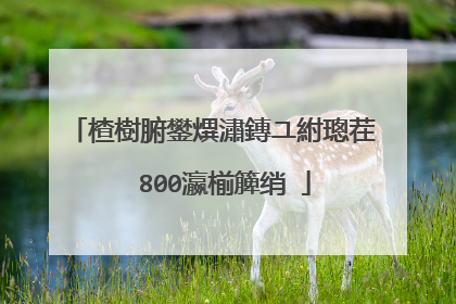 楂樹腑鐢熼潚鏄ユ紨璁茬��800瀛椾簲绡�