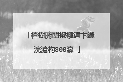 楂樹腑闈掓槬鍔卞織浣滄枃800瀛�