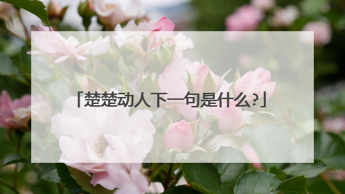 楚楚动人下一句是什么?