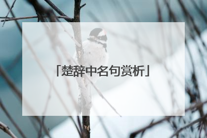 楚辞中名句赏析