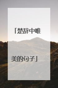 楚辞中唯美的句子