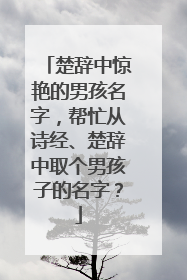 楚辞中惊艳的男孩名字，帮忙从诗经、楚辞中取个男孩子的名字？