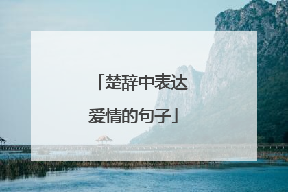 楚辞中表达爱情的句子