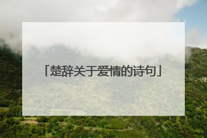 楚辞关于爱情的诗句