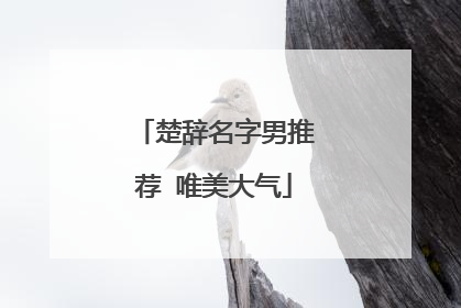 楚辞名字男推荐 唯美大气