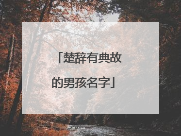 楚辞有典故的男孩名字