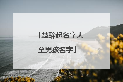 楚辞起名字大全男孩名字