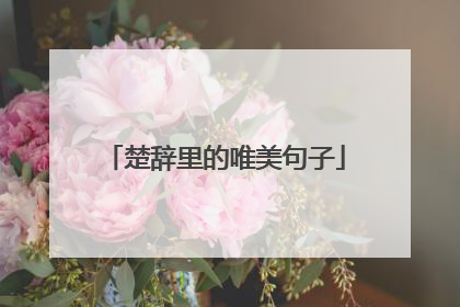 楚辞里的唯美句子