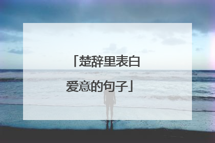 楚辞里表白爱意的句子